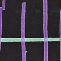 Nanowires&#39; tiny structures that shape the future of humanity