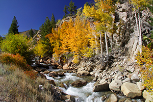 A stream in Boulder, Colorado