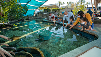 Aquarium of the Pacific | ICORS 2022