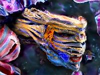 Colored SEM image of the layered Ti2C MXene showing similarities to the face of Lord Voldemort, a character in Harry Potter movie series.