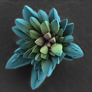Calcite Flower