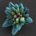 Calcite Flower