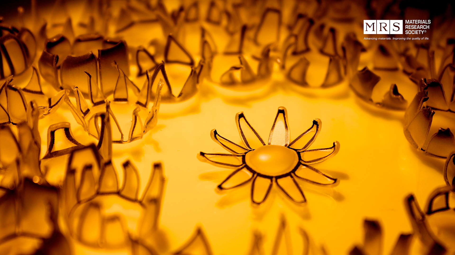 (Thermoplastic) Flower in the Sun: Science as Art Zoom Background