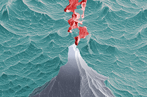 Kaiyang Yin, Dartmouth University. Inspired by "The Great Wave off Kanagawa," the iconic print by Hokusai, the active volcano on the ocean is erupting. The image is created by cryo-SEM imaging of textured ice surface.